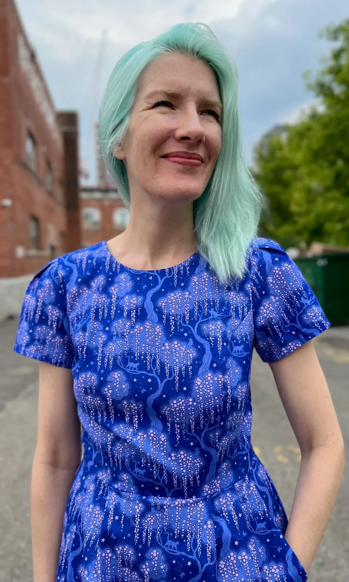 Engoulevent Dress - Cat Dreams