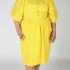 Hermit Thrush Skirt - Yuzu