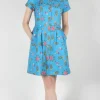 Ptarmigan Dress - Blue Pineapple Party