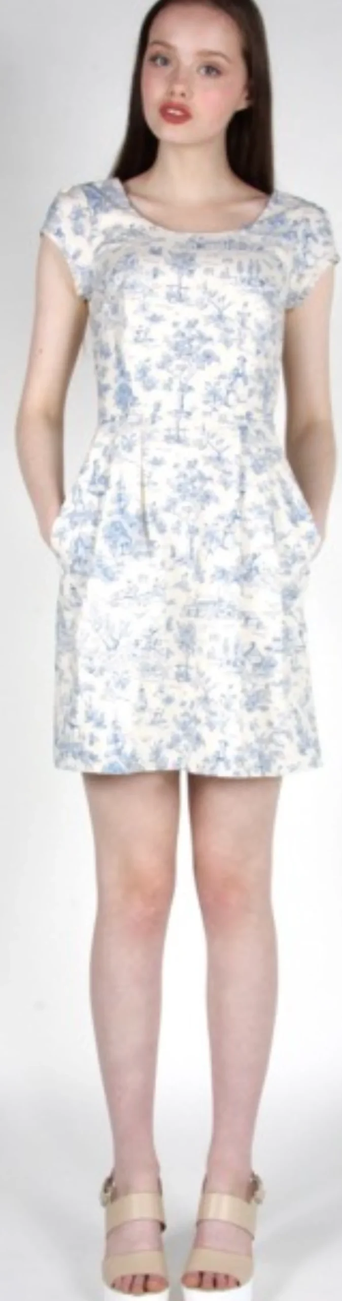 RN820 - 4 - Waterthrush Dress - Cornflower Toile