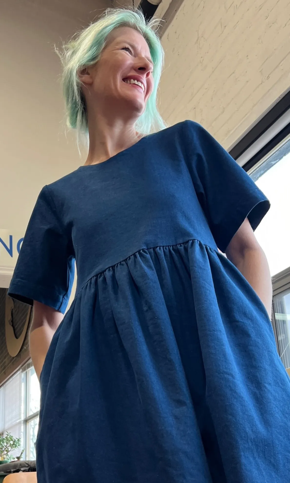 Tiger Shrike Dress - Denim