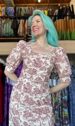 Veery Dress - Brick Village Toile