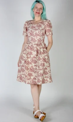 Winter Chippy Dress - Brick Village Toile